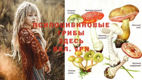 гидропоника Абаза