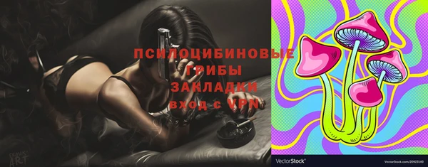 гидропоника Абаза