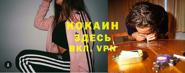 гидропоника Абаза